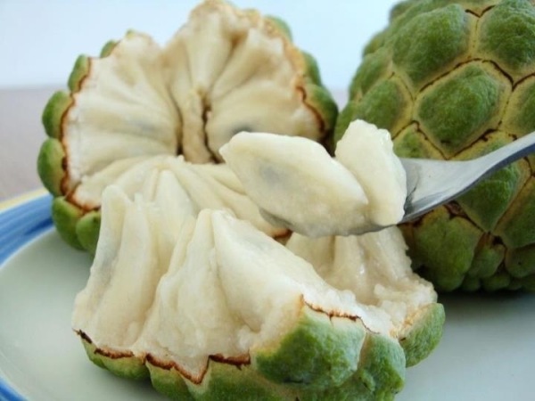 Nằm mơ thấy quả na đánh số mấy con gì - Ý nghĩa giấc mơ