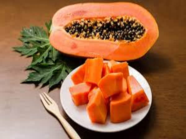 Nằm mơ thấy quả đu đủ đánh số mấy