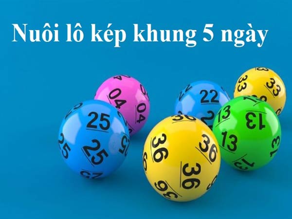 Lô kép nuôi khung 5 ngày là gì?