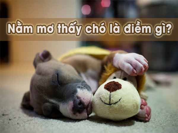 Nằm mơ thấy chó là điềm báo gì?