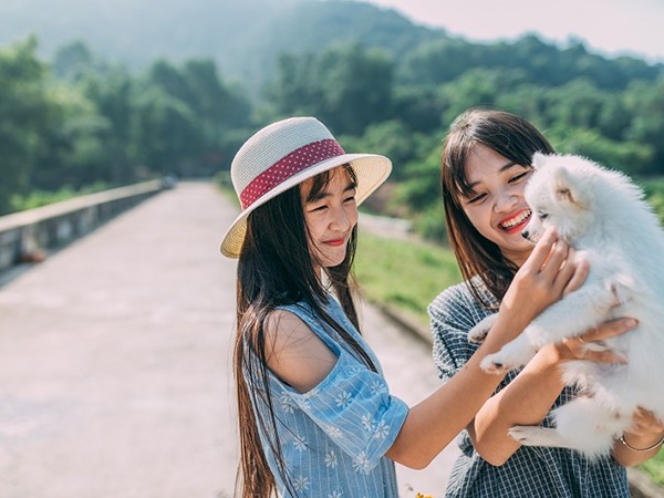 Mơ thấy chị gái đánh ngay số mấy lấy may, điềm báo gì?