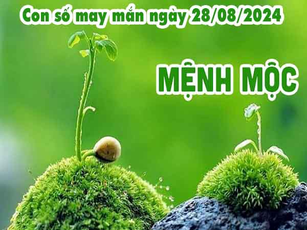 Thống kê con số may mắn người mệnh Mộc ngày 28/8/2024 thứ 4 hôm nay