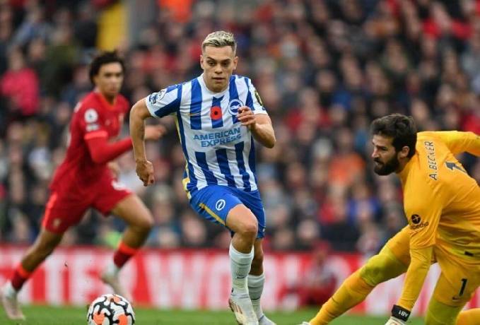 Đối đầu trận Brighton vs Liverpool, 2h30 ngày 31/10