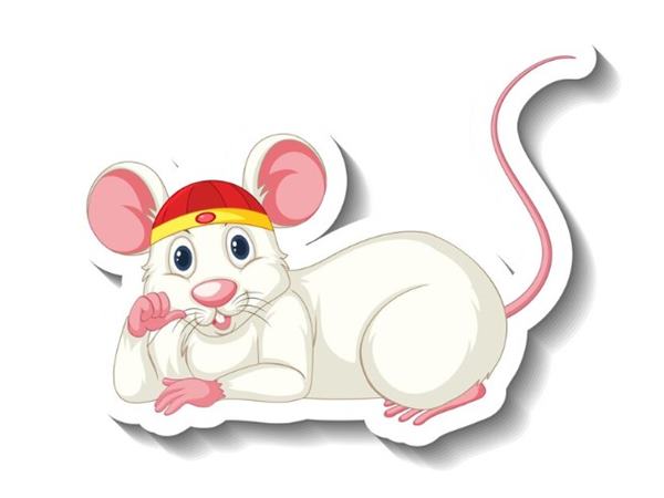 Đi tìm con số tài lộc tuổi Tý ngày 29/4/2025 1