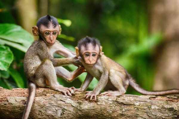 Bật mí con số đẹp tuổi Mậu Thân 23/5/2025 phát tài