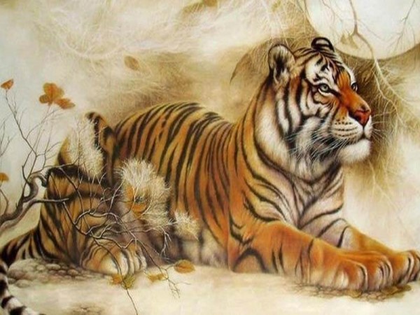 Khám phá con số cát tường tuổi Mậu Dần ngày 27/5/2025 – Khi thiên nhiên dẫn lối may mắn