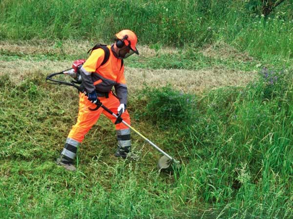 Nằm ngủ mê thấy chính mình đang cắt cỏ
