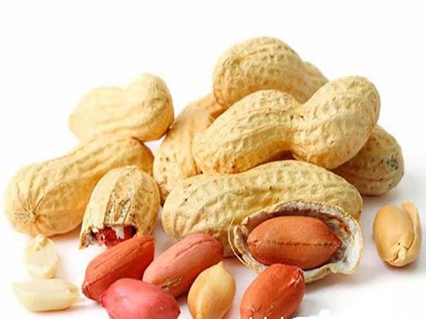 Tại sao mơ thấy củ lạc lại mang ý nghĩa đặc biệt?