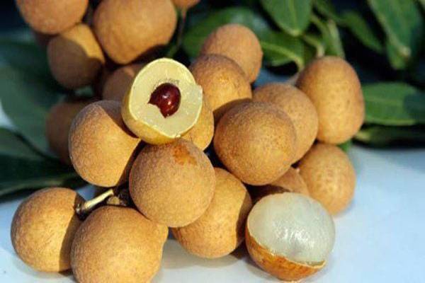 Giấc mơ thấy quả nhãn có báo hiệu tài lộc sắp đến?
