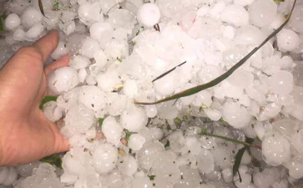 Mộng thấy mưa đá rơi nhưng không gây thiệt hại