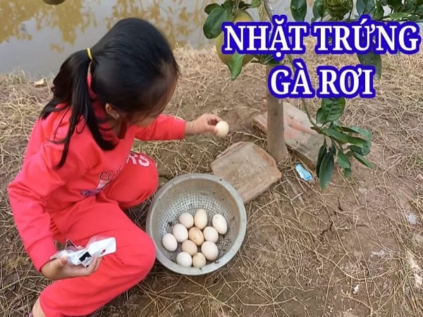 Chiêm bao thấy người khác nhặt trứng gà