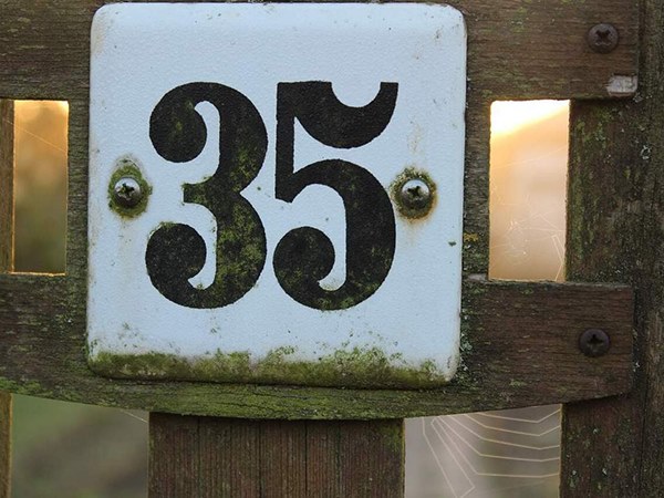 Thống kê chi tiết đề về 35 hôm sau ra con gì về bao nhiêu